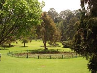 Ooty Botanical Garden